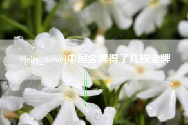 孟州中国金牌得了几枚金牌