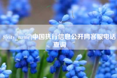 孟州中国执行信息公开网客服电话查询