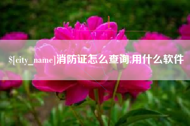 孟州消防证怎么查询,用什么软件