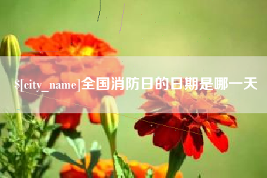 孟州全国消防日的日期是哪一天