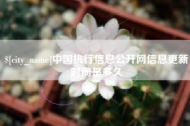 孟州中国执行信息公开网信息更新时间是多久