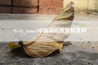 孟州中国消防救援教育网