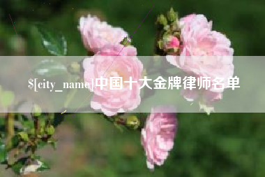 孟州中国十大金牌律师名单