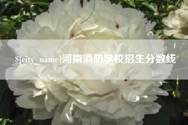 孟州河南消防学校招生分数线