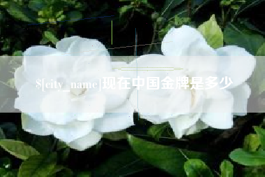 孟州现在中国金牌是多少