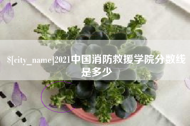孟州2021中国消防救援学院分数线是多少