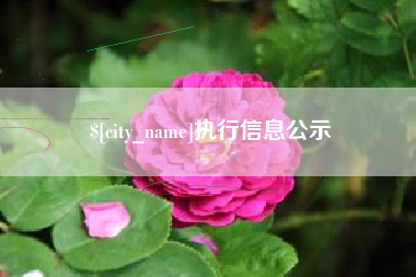 孟州执行信息公示