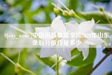 孟州中国消防救援学院2021年山东录取分数线是多少