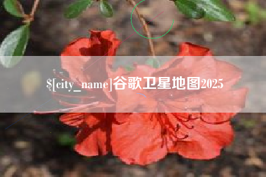 孟州谷歌卫星地图2025
