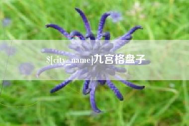 孟州九宫格盘子
