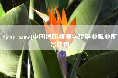 孟州中国消防救援学院毕业就业前景如何