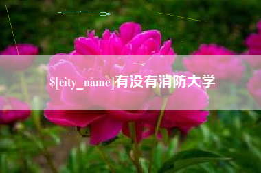 孟州有没有消防大学