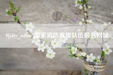 孟州国家消防救援队伍报名网址