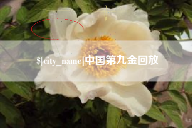 孟州中国第九金回放