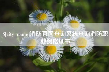 孟州消防官网查询系统查询消防职业资格证书