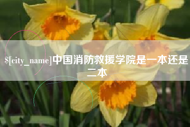 孟州中国消防救援学院是一本还是二本