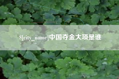 孟州中国夺金大项是谁