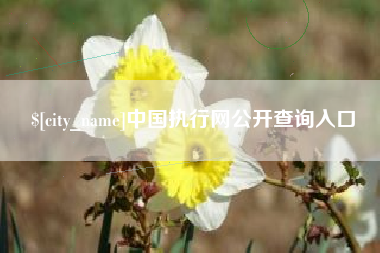 孟州中国执行网公开查询入口