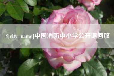孟州中国消防中小学公开课回放