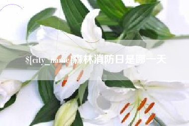 孟州森林消防日是哪一天