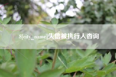 孟州失信被执行人杳询