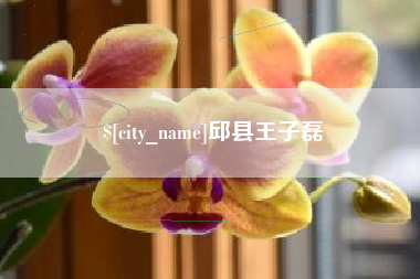 孟州邱县王子磊