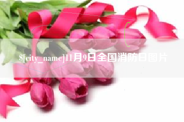 孟州11月9日全国消防日图片
