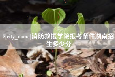 孟州消防救援学院报考条件湖南招生多少分