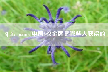 孟州中国6枚金牌是哪些人获得的