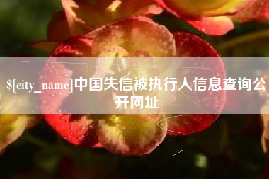 孟州中国失信被执行人信息查询公开网址