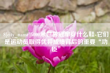 孟州5000米世界冠军穿什么鞋-它们是运动员取得优异成绩背后的重要“功臣”
