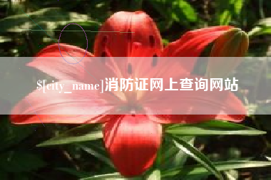 孟州消防证网上查询网站