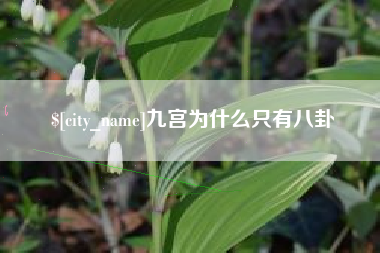 孟州九宫为什么只有八卦
