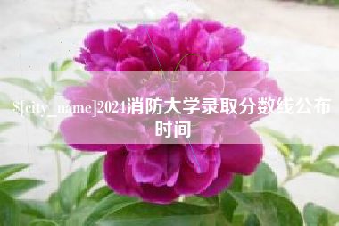 孟州2024消防大学录取分数线公布时间