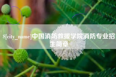 孟州中国消防救援学院消防专业招生简章