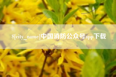 孟州中国消防公众号app下载