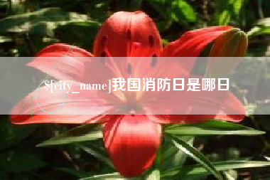 孟州我国消防日是哪日