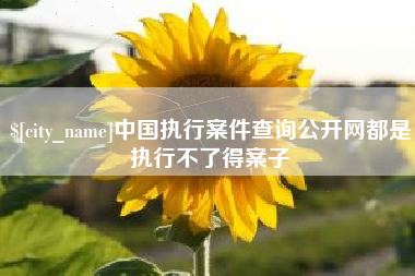 孟州中国执行案件查询公开网都是执行不了得案子