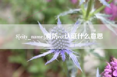 孟州消防ccc认证什么意思