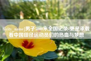 孟州男子5000米全国记录-更是承载着中国田径运动员们的热血与梦想