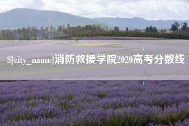 孟州消防救援学院2020高考分数线