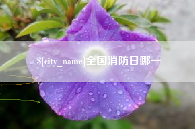孟州全国消防日哪一