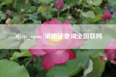 孟州消防证查询全国联网