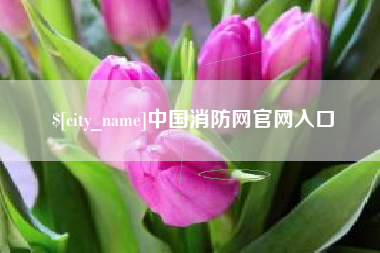 孟州中国消防网官网入口
