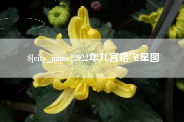 孟州2022年九宫格飞星图