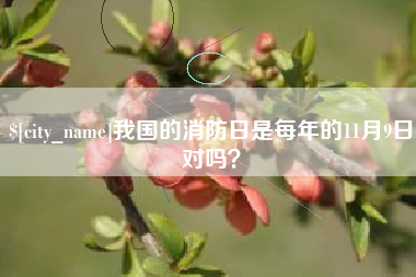 孟州我国的消防日是每年的11月9日对吗？