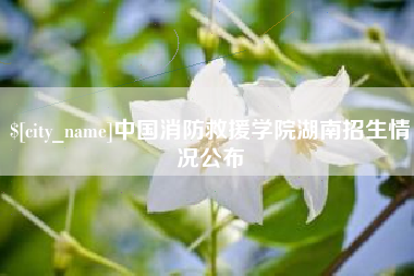 孟州中国消防救援学院湖南招生情况公布