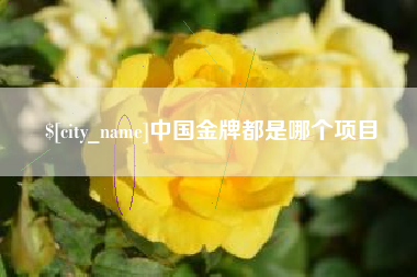 孟州中国金牌都是哪个项目