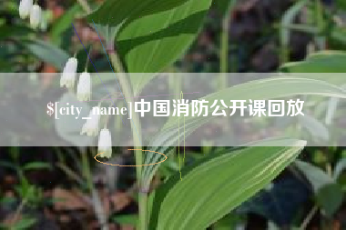 孟州中国消防公开课回放