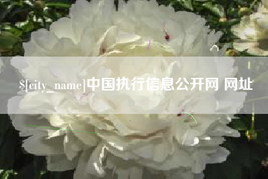 孟州中国执行信息公开网 网址